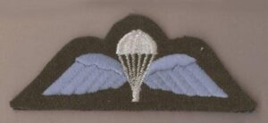 BRITISH BASIC PARACHUTE WINGS white/blue on khaki