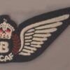 CANADIAN AIR BOMBER HALF WING BREVETTE machine emb