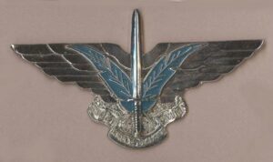 CISKEI SPECIAL FORCES CAP BADGE