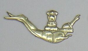 COMBAT SWIMMER cast brass breast badge