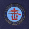 COMBINED OPERATIONS lapel badge