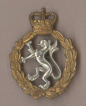 TIONAL DEFENCE CORPS KC GRVI cipher g/m cap badg