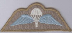 DESERT Para wing, White canopy, Blue wing on Sand