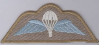 DESERT Para wing, White canopy, Blue wing on Sand