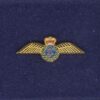 EET AIR ARM - LAPEL BADGE