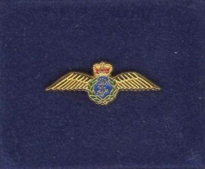 EET AIR ARM - LAPEL BADGE