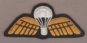INDIA cloth Para Wing Yellow on Black