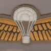 INDIA cloth Para Wing Yellow on Buff