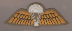 INDIA cloth Para Wing Yellow on Buff