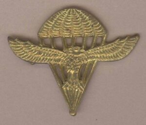 INDIAN AIR FORCE Para qualified sleeve badge brass