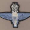 INDIA PARA wings Blue on Black, Lions above