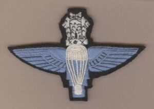 INDIA PARA wings Blue on Black, Lions above