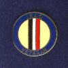 AQ VETERAN lapel badge