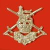 NIOR LEADERS a/a cap badge