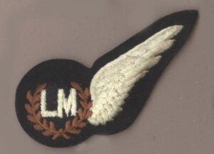 AD MASTER HALF WING machine embroidered