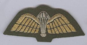 MESS DRESS Gold/Silver bullion wire embd. on GREEN