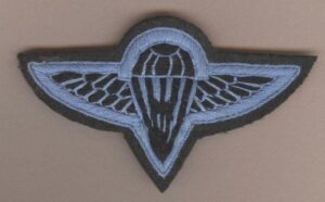 NEPAL - LARGE BLUE PARA WING