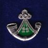 OX & BUCKS lapel badge CAP BADGE enamel