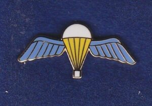 Parachute Regiment Lapel Badge, Enamel Wings
