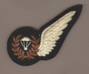 PARACHUTE TRAINING INSTRUCTOR HALF WING embroiderd