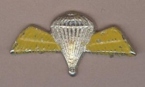 PARACHUTE WINGS cast nickel plate YELLOW