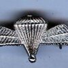 PARACHUTE WINGS  small cast nickel plated
