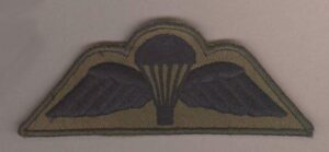 PARACHUTE WING subdued, embroidered black on Olive