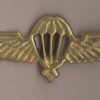 PARA WINGS NEPAL brass