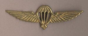 PARA WINGS NEPAL brass