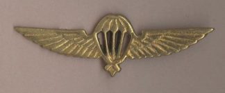 PARA WINGS NEPAL brass