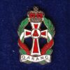 Q.A.R.A.N.C.  - LAPEL BADGE