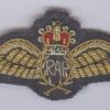 R.A.F. BULLION wire PARACHUTISTS Dress wings