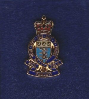 RAOC lapel badge CAP BADGE enamel QC