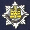 ROYAL ANGLIAN REGIMENT - LAPEL BADGE