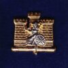 ROYAL ANGLIANS - 1 BN - LAPEL BADGE