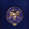 ROYAL ANGLIANS - 3 BN - LAPEL BADGE