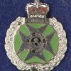 ROYAL GREEN JACKETS lapel CAP BADGE enamel