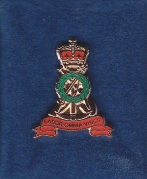 ROYAL LABOUR CORPS lapel CAP BADGE enamel QC