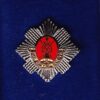 ROYAL SCOTS - LAPEL BADGE