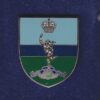 ROYAL SIGNALS lapel CAP BADGE ON SHIELD enamel QC