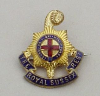 ROYAL SUSSEX REGIMENT gilt and two enamels
