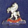 ROYAL WEST KENTS lapel CAP BADGE enamel