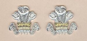 ROYAL WILTSHIRE YEOMANRY? a/a collars, pair SMALL