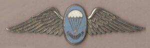 SA 'INSTRUCTOR' WINGS blue background silver