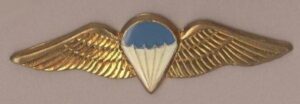 SA PARA BASIC - metal wings?  'Gold' wing blue
