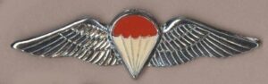 S.A. PARA FREEFALL WINGS? metal,enamel