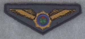 S.A. POLICE - CLOTH EMBROIDERED WING
