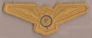 S.A. POLICE WINGS - CLOTH yellow on yellow