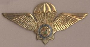 S.A. POLICE WINGS - metal silver wing blue ring