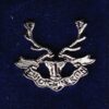 SEAFORTH HIGHLANDERS lapel badge CAP BADGE enamel